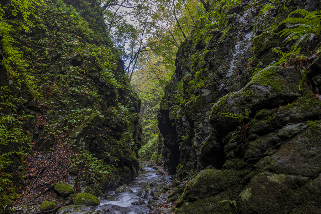 石沢峡にてⅢ