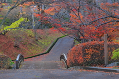 秋の散歩道Ⅱ