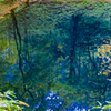 青池の印象