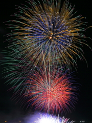 夜空に咲く