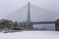 雪のベイブリッジ