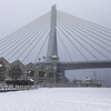 雪のベイブリッジ
