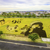 田舎館村・田んぼアートⅡ