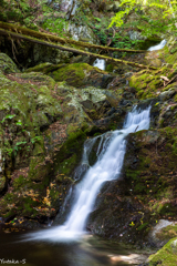 水海川・一の滝