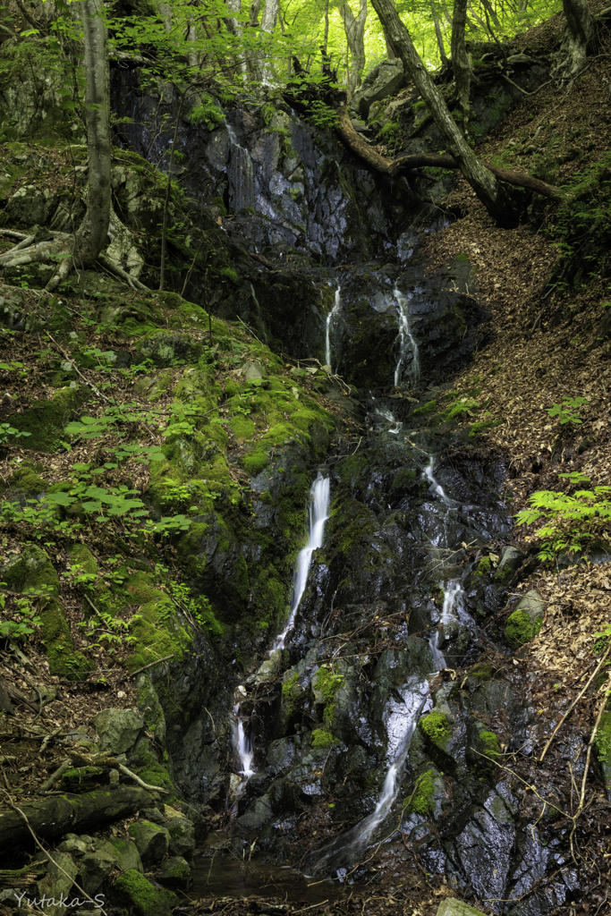 白糸の滝