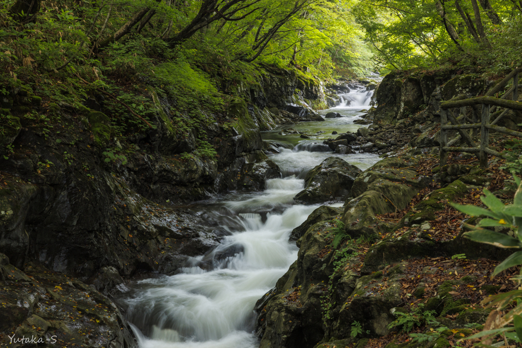 大滝川渓流