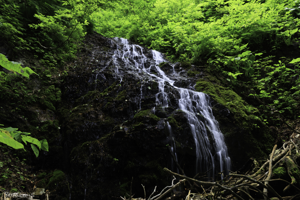 小根津戸の雌滝Ⅱ