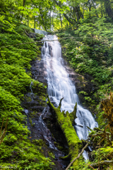 オガセの滝