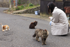 猫の島・田代島にてⅡ
