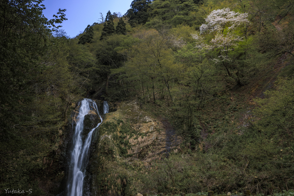 赤田大滝