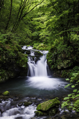 大松沢の無名瀑
