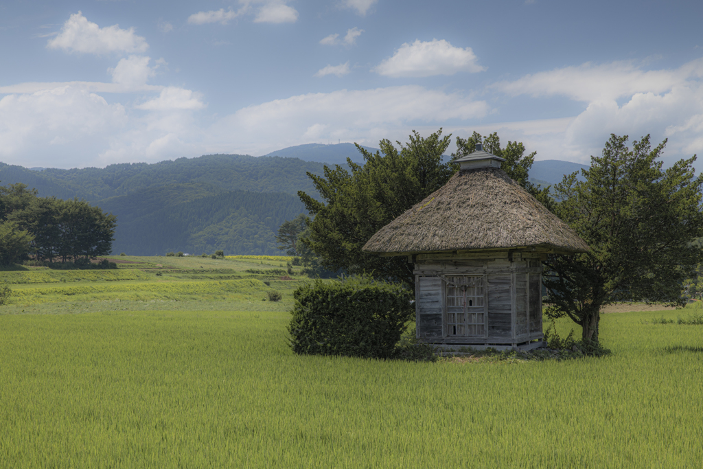 祠のある風景