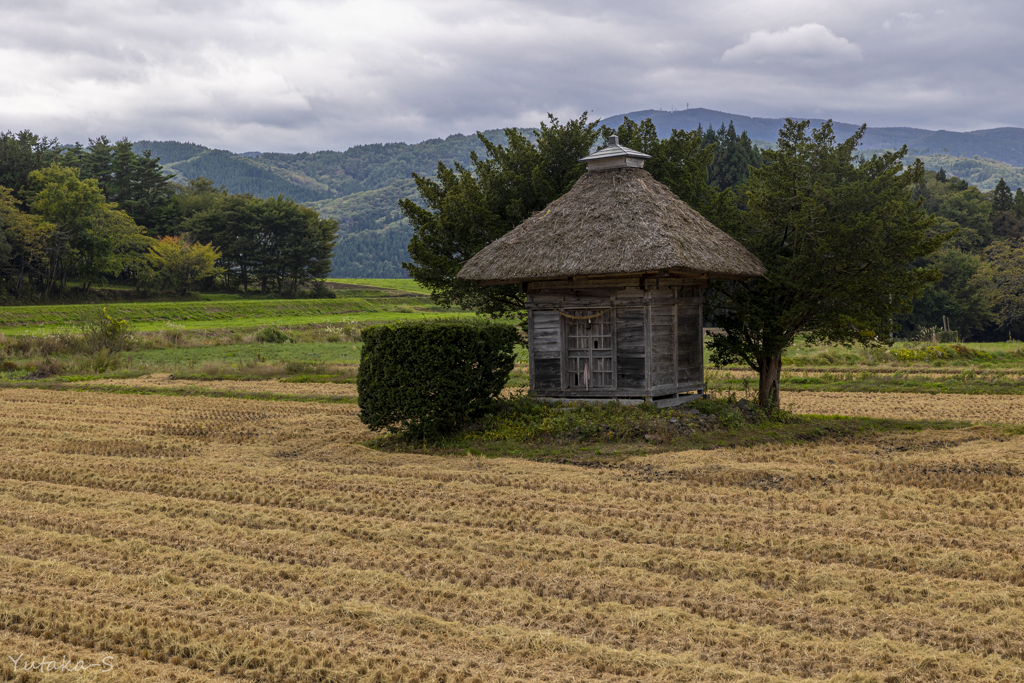 収穫を終え