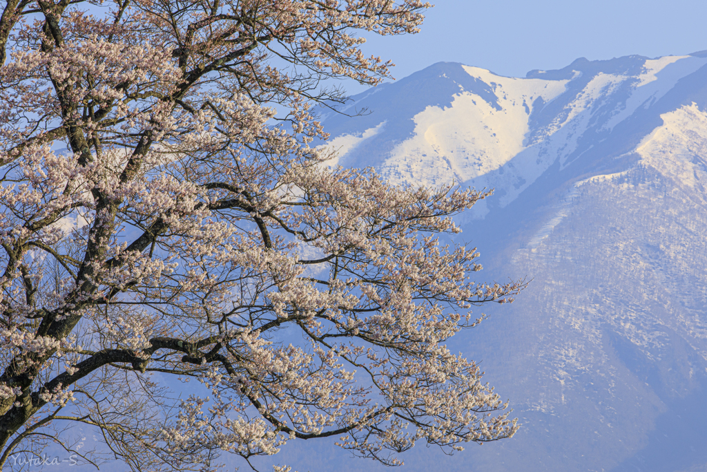 残雪の峰と