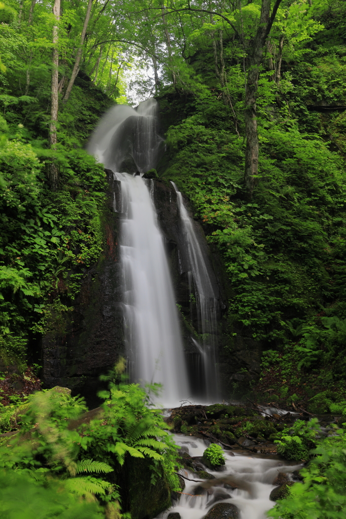 雲井の滝_夏