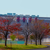 玉川ダム公園にて