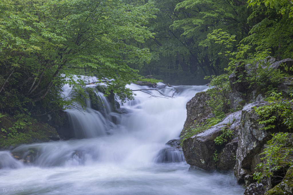 逢滝