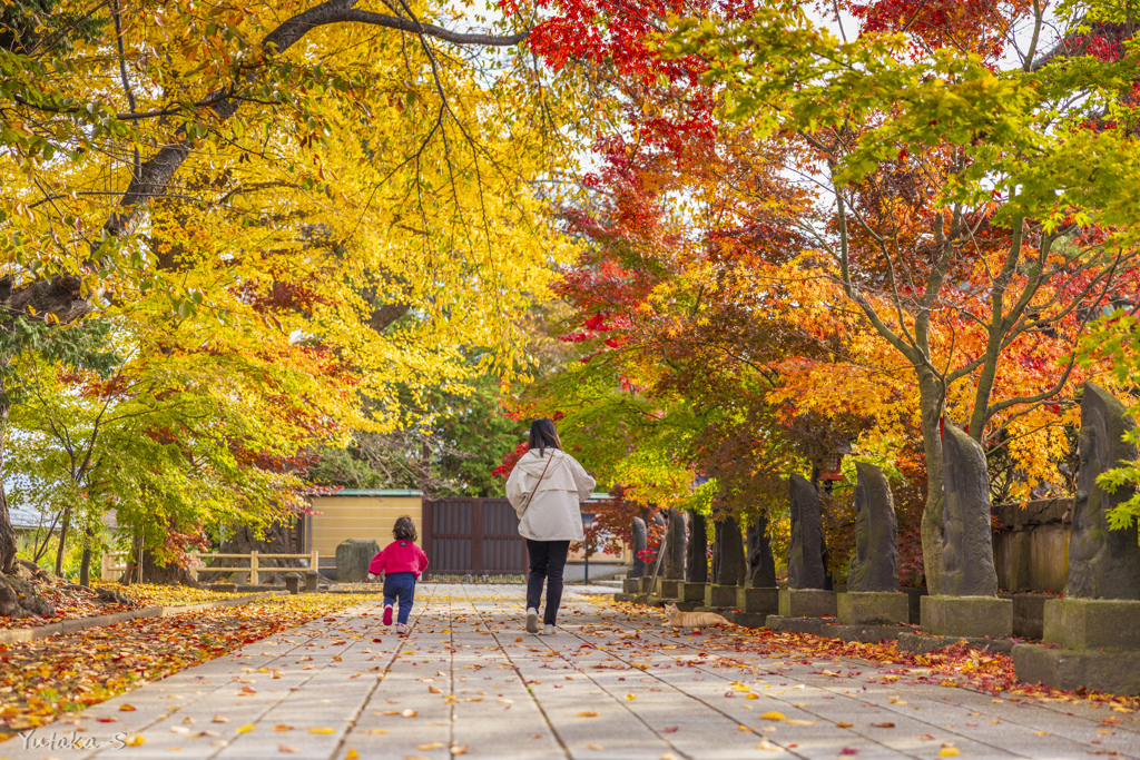 紅葉の参道