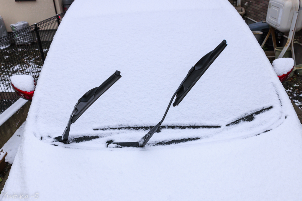 雪の朝Ⅲ