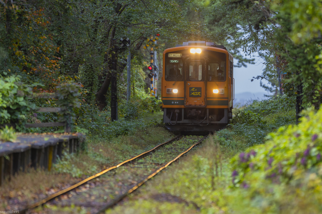 津軽鉄道の秋