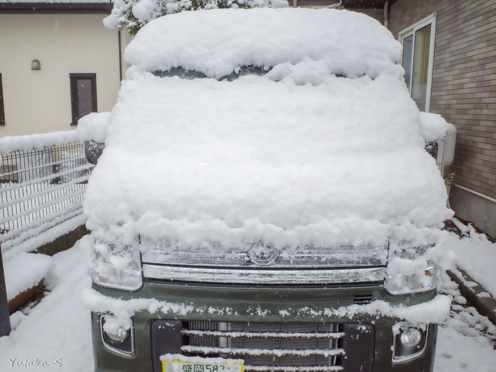 初積雪