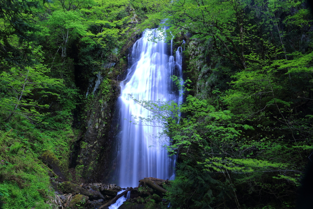 回顧の滝