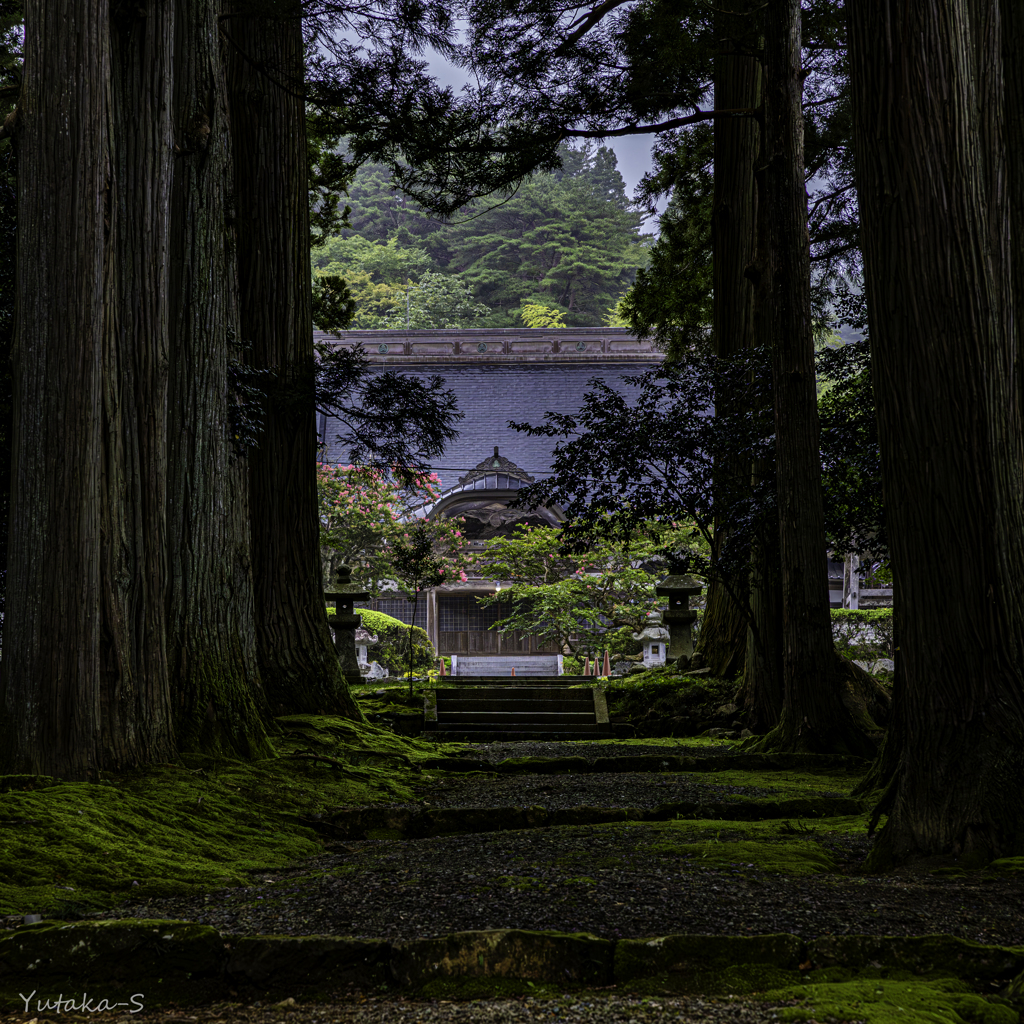 参道を歩む