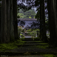 参道を歩む