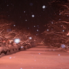 雪中ライトアップⅡ