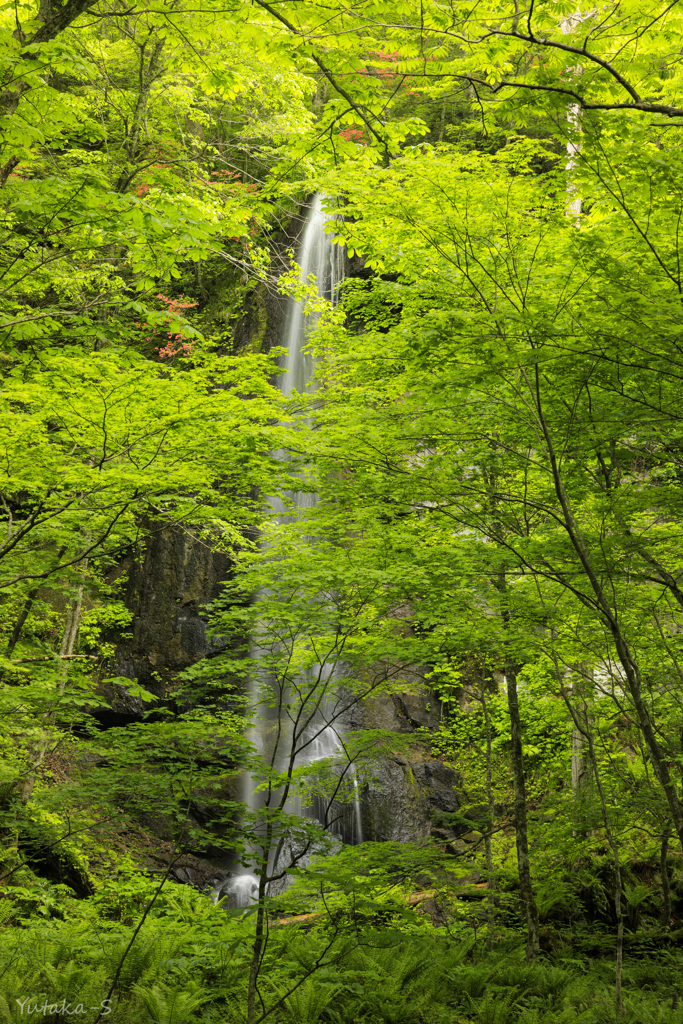 白糸の滝