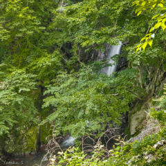 小松倉沢の滝・中段の滝