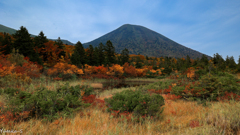沼の彩り