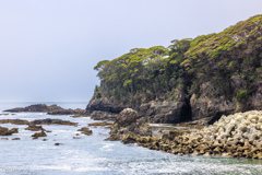 猫の島・田代島にてⅪ