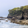 猫の島・田代島にてⅪ