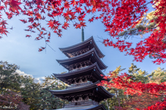 遠野の秋・福泉寺