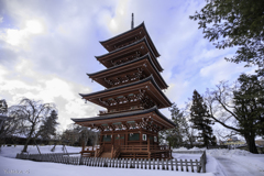 弘前散歩・最勝院五重塔