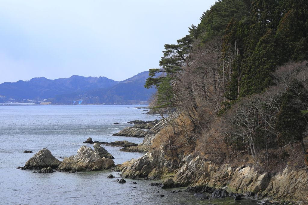 海岸の風景