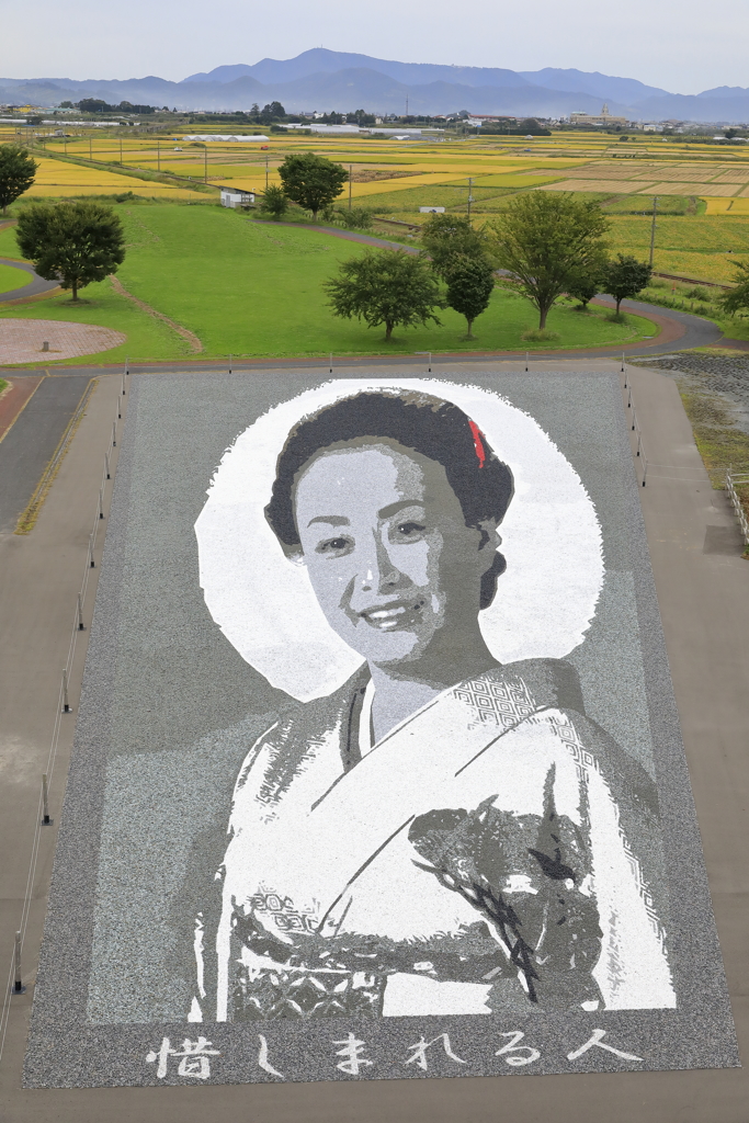 田園のアートⅢ