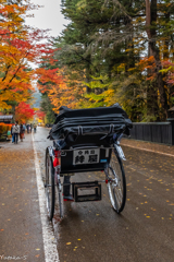 角館紅葉散歩