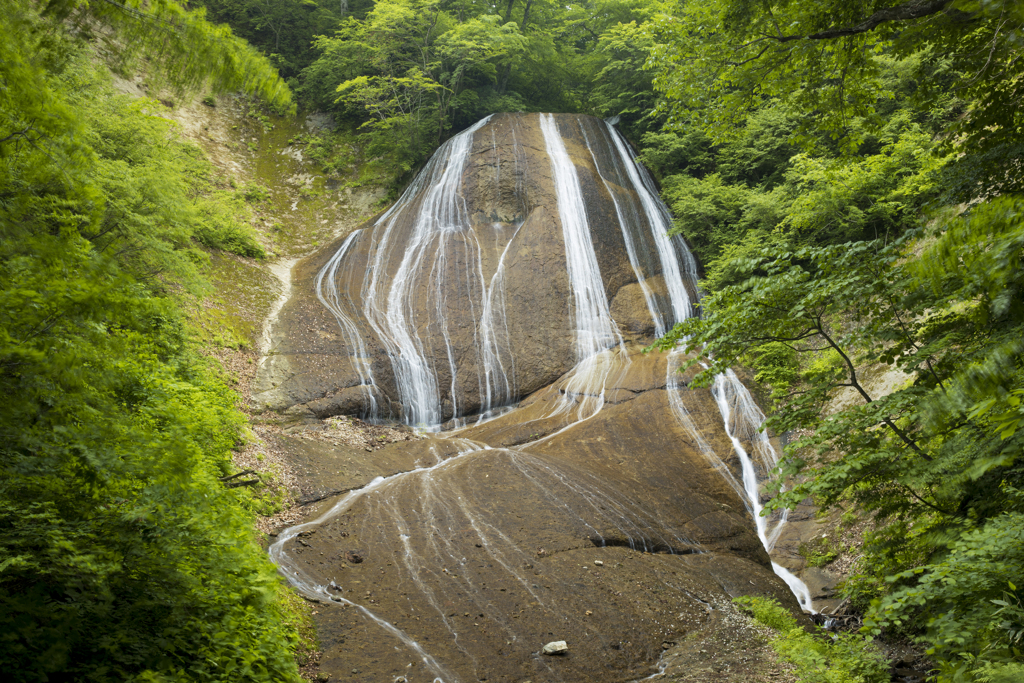 新緑の滝
