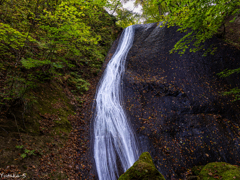 宮城･山形 秋の滝巡り すだれ滝