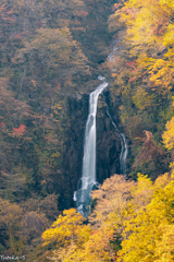 宮城・山形 秋の滝巡り 三階滝 宮城・山形 秋の滝巡り 三階滝