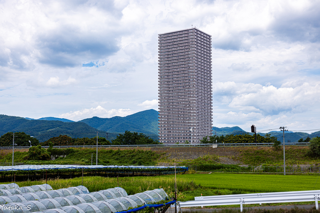 田園のタワマン