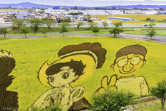 田舎館村・田んぼアート