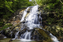 遠野・又一の滝