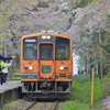 やっぱり人気者！
