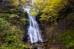 宮城･山形 秋の滝巡り 楢山不動滝