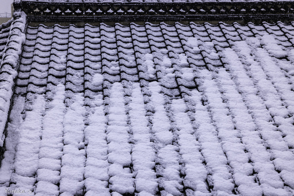 雪の朝Ⅱ