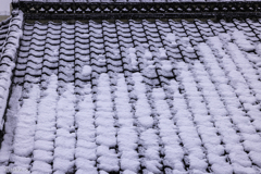 雪の朝Ⅱ