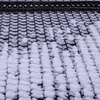 雪の朝Ⅱ